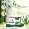 Aloe Vera Natural Handmade Soap - 100g (Pack of 3)