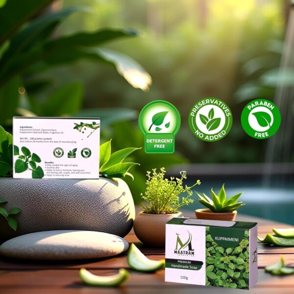 Kuppaimeni (Acalypha Indica) | Organic Hand Made Soap – 100g (Pack of 3)