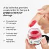 Strawberry Lip Balm - 8gm